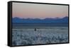 A Man at Dusk Crosses the Wilderness of the Sajama National Park, Bolivia-Alex Saberi-Framed Stretched Canvas