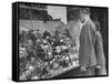 A Man Browsing in a Butcher Shop-null-Framed Stretched Canvas