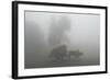 A Man Carries Cow Dung on His Bullock Cart to Sell-K.K. Arora-Framed Photographic Print