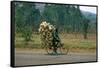 A Man Carrying Goods by Bike, Uganda-null-Framed Stretched Canvas