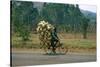 A Man Carrying Goods by Bike, Uganda-null-Stretched Canvas