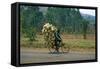 A Man Carrying Goods by Bike, Uganda-null-Framed Stretched Canvas