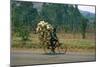 A Man Carrying Goods by Bike, Uganda-null-Mounted Giclee Print