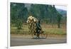 A Man Carrying Goods by Bike, Uganda-null-Framed Giclee Print