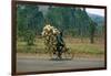 A Man Carrying Goods by Bike, Uganda-null-Framed Giclee Print