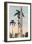A Man Climbing a Palm Tree, Cuba, 1911-null-Framed Giclee Print
