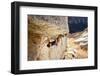 A Man Climbs Center Trinity, 5.13A, Little Cottonwood Canyon, Utah-Louis Arevalo-Framed Photographic Print