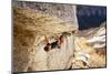 A Man Climbs Center Trinity, 5.13A, Little Cottonwood Canyon, Utah-Louis Arevalo-Mounted Photographic Print