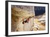 A Man Climbs Center Trinity, 5.13A, Little Cottonwood Canyon, Utah-Louis Arevalo-Framed Photographic Print