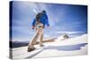 A Man Climbs the 13,000 Foot, Colorado Peak: Mount Bancroft - Alice, Colorado-Dan Holz-Stretched Canvas