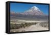 A Man Cycles in the Shadow of Sajama Volcano in Sajama National Park-Alex Saberi-Framed Stretched Canvas