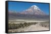 A Man Cycles in the Shadow of Sajama Volcano in Sajama National Park-Alex Saberi-Framed Stretched Canvas