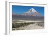 A Man Cycles in the Shadow of Sajama Volcano in Sajama National Park-Alex Saberi-Framed Photographic Print