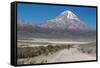 A Man Cycles in the Shadow of Sajama Volcano in Sajama National Park-Alex Saberi-Framed Stretched Canvas