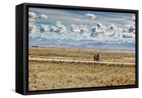 A Man Cycles with a Family Member on the Back of His Bicycle Between La Paz and Tiwanaku-Alex Saberi-Framed Stretched Canvas