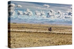 A Man Cycles with a Family Member on the Back of His Bicycle Between La Paz and Tiwanaku-Alex Saberi-Stretched Canvas