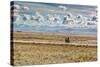 A Man Cycles with a Family Member on the Back of His Bicycle Between La Paz and Tiwanaku-Alex Saberi-Stretched Canvas