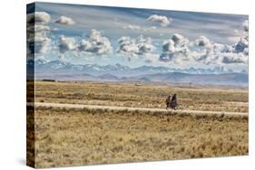 A Man Cycles with a Family Member on the Back of His Bicycle Between La Paz and Tiwanaku-Alex Saberi-Stretched Canvas