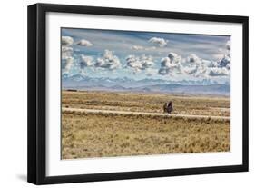 A Man Cycles with a Family Member on the Back of His Bicycle Between La Paz and Tiwanaku-Alex Saberi-Framed Photographic Print