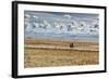 A Man Cycles with a Family Member on the Back of His Bicycle Between La Paz and Tiwanaku-Alex Saberi-Framed Photographic Print