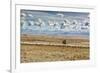 A Man Cycles with a Family Member on the Back of His Bicycle Between La Paz and Tiwanaku-Alex Saberi-Framed Photographic Print