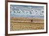 A Man Cycles with a Family Member on the Back of His Bicycle Between La Paz and Tiwanaku-Alex Saberi-Framed Photographic Print