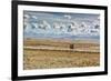 A Man Cycles with a Family Member on the Back of His Bicycle Between La Paz and Tiwanaku-Alex Saberi-Framed Photographic Print