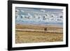 A Man Cycles with a Family Member on the Back of His Bicycle Between La Paz and Tiwanaku-Alex Saberi-Framed Photographic Print