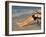 A Man Fishes from His Deck Chair in Platypus Bay on Fraser Island's West Coast, Australia-Andrew Watson-Framed Photographic Print