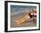 A Man Fishes from His Deck Chair in Platypus Bay on Fraser Island's West Coast, Australia-Andrew Watson-Framed Photographic Print