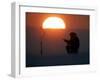 A Man Icefishes on the Frozen Finnish Gulf at Sunset Outside St.Petersburg-null-Framed Photographic Print