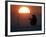 A Man Icefishes on the Frozen Finnish Gulf at Sunset Outside St.Petersburg-null-Framed Photographic Print