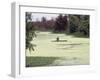 A Man in a Row Boat Drifts on the Louisiana Bayou-null-Framed Photographic Print