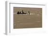 A Man Jumps from a Platform into the Sea to Cool Off on a Hot Summer Day-Jon Nazca-Framed Photographic Print