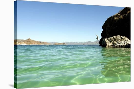 A Man Jumps into a Bay Near Loreto, Baja Sur, Mexico-Bennett Barthelemy-Stretched Canvas