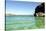 A Man Jumps into a Bay Near Loreto, Baja Sur, Mexico-Bennett Barthelemy-Stretched Canvas