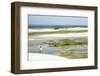 A Man Looking Out from the Funil Dune, Ceara, Brazil, South America-Alex Robinson-Framed Photographic Print