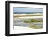 A Man Looking Out from the Funil Dune, Ceara, Brazil, South America-Alex Robinson-Framed Photographic Print