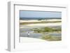 A Man Looking Out from the Funil Dune, Ceara, Brazil, South America-Alex Robinson-Framed Photographic Print