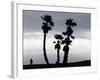 A Man Looks out Towards the Ocean as a Winter Rain Storm Falls on Seal Beach-null-Framed Photographic Print