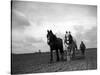 A Man on a Farm Harvesting in a Field with His Two Horses-null-Stretched Canvas