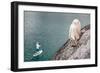 A Man On An Inflatable Paddle Board Passes A Foraging Mountain Goat At Colchuck Lake-Ben Herndon-Framed Photographic Print