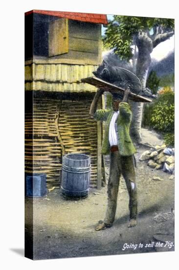 A Man on His Way to Market to Sell a Pig, Jamaica, C1900s-null-Stretched Canvas