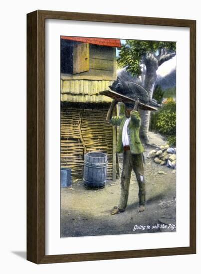 A Man on His Way to Market to Sell a Pig, Jamaica, C1900s-null-Framed Giclee Print