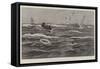 A Man Overboard in Southern Seas, Saved!-Joseph Nash-Framed Stretched Canvas