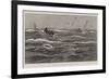 A Man Overboard in Southern Seas, Saved!-Joseph Nash-Framed Giclee Print