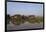 A man paddles his canoe past one of the floating villages on Inle Lake, Myanmar (Burma), Asia-Alex Treadway-Framed Photographic Print