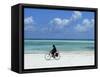 A Man Riding His Bicycle of Kiwengwa Beach, Island of Zanzibar, Tanzania, East Africa, Africa-Yadid Levy-Framed Stretched Canvas