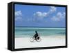 A Man Riding His Bicycle of Kiwengwa Beach, Island of Zanzibar, Tanzania, East Africa, Africa-Yadid Levy-Framed Stretched Canvas