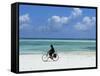 A Man Riding His Bicycle of Kiwengwa Beach, Island of Zanzibar, Tanzania, East Africa, Africa-Yadid Levy-Framed Stretched Canvas